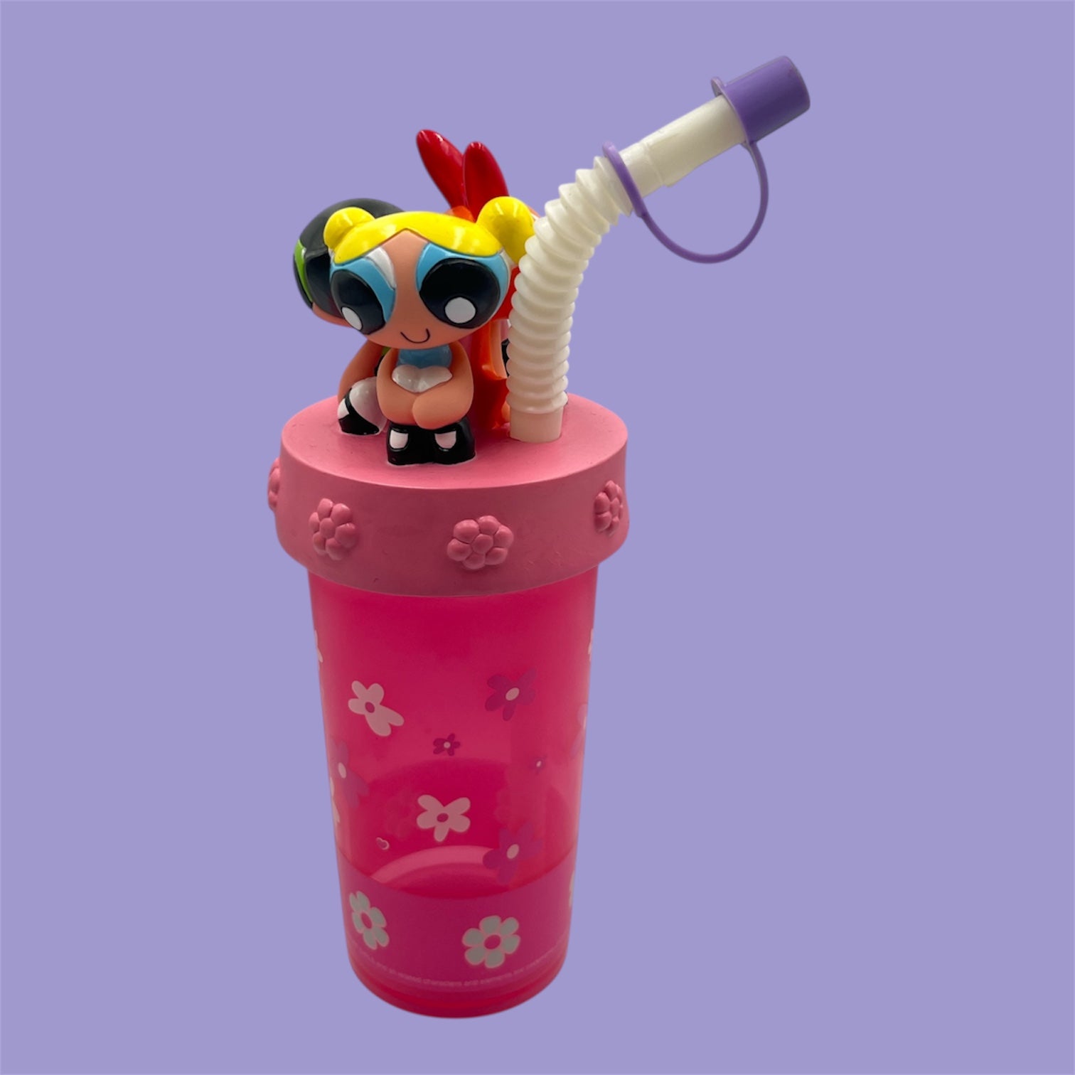 The Powerpuff Girls グッズセット タンブラー ぬいぐるみ 2002年☆Powerpuff Girls☆パワーパフガールズ☆ドリンクボトル