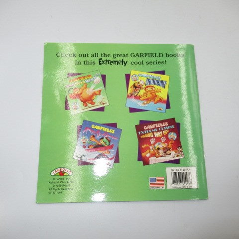 90's★GARFIELD★Garfield★Picture book★★Figure★Doll★Stuffed toy★1★