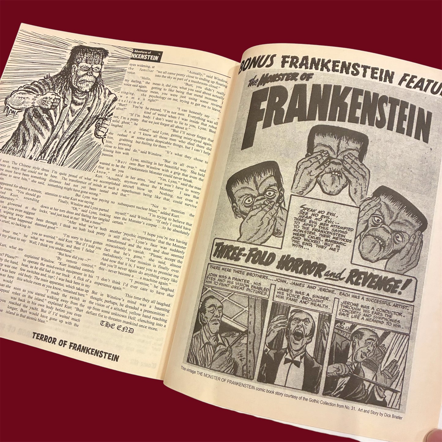 2001年★フランケンシュタイン★FRANKENSTEIN★本★コミック★ビンテージ★vintage★フィギュア★人形★ぬいぐるみ★nuiversal monsters★ユニバーサルモンスター★2