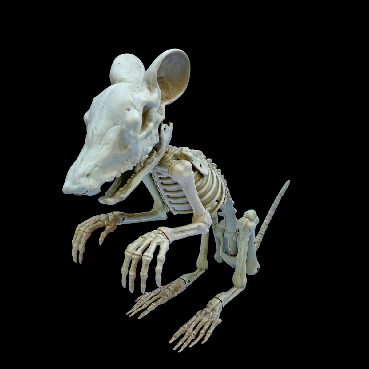 ネズミ★マウス★mouse★スケルトン★skeleton★骸骨★ドクロ★骨★フィギュア★トーキング★Halloween★ハロウィン