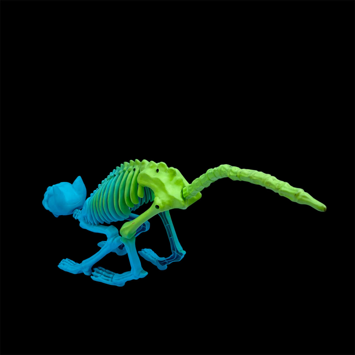 猫★ネコ★mouse★スケルトン★skeleton★骸骨★ドクロ★骨★フィギュア★Halloween★ハロウィン