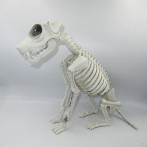 HALLOWEEN★Halloween★Skeleton★DOG★Dog★Bone★Halloween display★Skull★Skull★ 