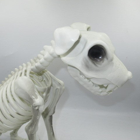 HALLOWEEN★Halloween★Skeleton★DOG★Dog★Bone★Halloween display★Skull★Skull★ 