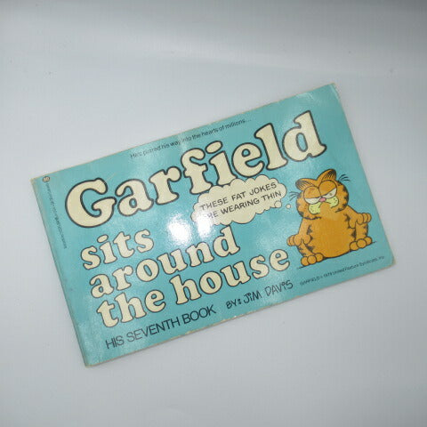 70’ｓ★1979年★ビンテージ★ガーフィールド★Garfield★コミック★本★フィギュア★ぬいぐるみ★人形★ＰＶＣ★３